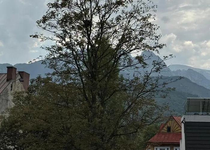 아파트 Yeti Krupowki 73c